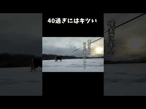 40過ぎにはキツい サムネイル