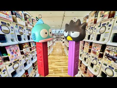 【ガチャ活】新作ガチャガチャ55連！名古屋遠征！愛知オリジナルガチャも回したよ！