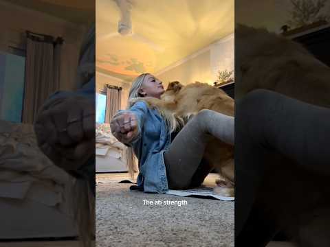 coming home to my golden retriever🥵 goldenretreiver dog ind… サムネイル