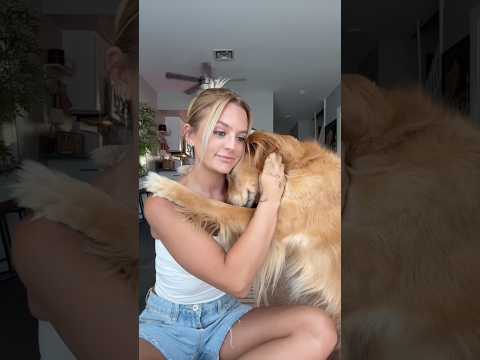 coming home to my golden retriever🥵 goldenretreiver dog ind…