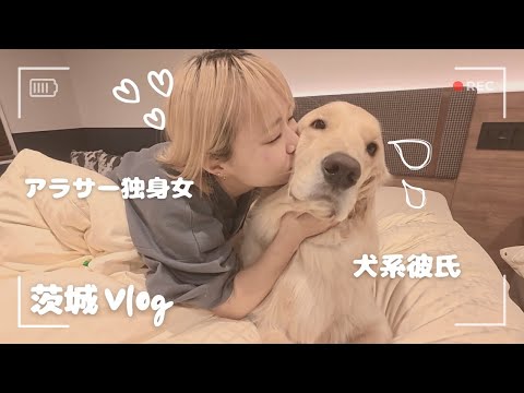2歳になる犬系彼氏が最近ツンデレで可愛すぎる【茨城旅行】 サムネイル