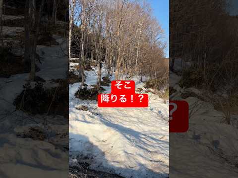 崖を普通に降りてくる犬 サムネイル