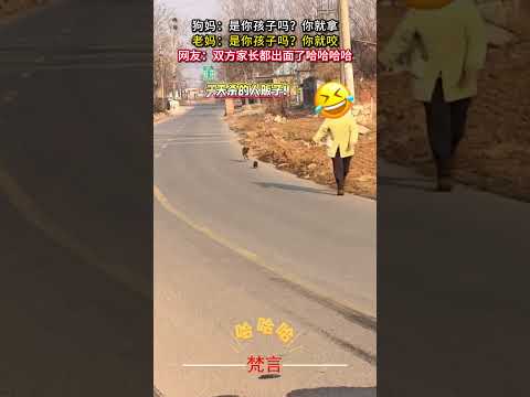 狗媽：是你孩子嗎？你就拿 老媽：是你孩子嗎？你就咬 意外 有趣 搞笑 amazing funny shorts サムネイル