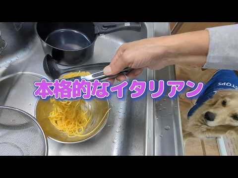 本格的なイタリアンがまたしつこく始まりました。ゴールデンレトリバーティト サムネイル