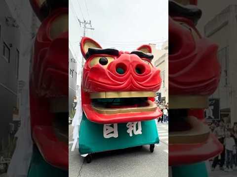 shorts 酒田大獅子　日和　獅子パックン　酒田まつり サムネイル