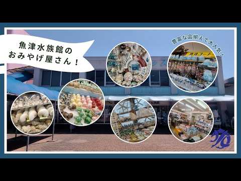 【魚津水族館】魚津水族館のおみやげ屋さん!真珠コーナー