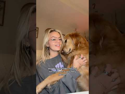 coming home to my golden retriever🥵 goldenretreiver dog ind… サムネイル