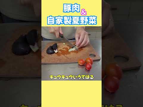 フライングK 神戸 柴犬 shiba shibainu 癒し サムネイル