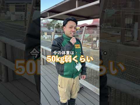 エランドの赤ちゃんが誕生👶