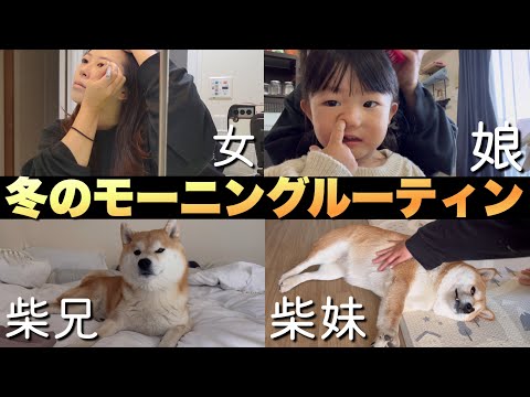柴犬兄妹 ＆ ２歳の娘 ＆ 歳の差夫婦、冬のモーニングルーティン サムネイル