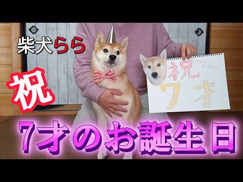 祝　7才のお誕生日 サムネイル