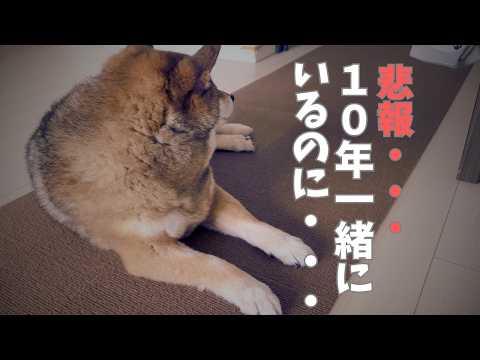 「本当に仲良いの？」というコメントについて。愛犬に確かめてみた結果・・・ｗ サムネイル