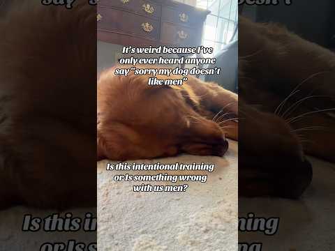 Being a man, I need answers! サムネイル