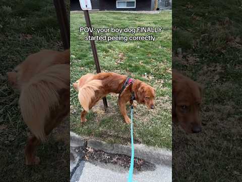 Without fail 😂 サムネイル