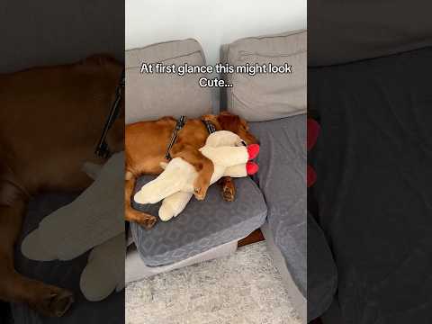 No one is safe 😳 サムネイル