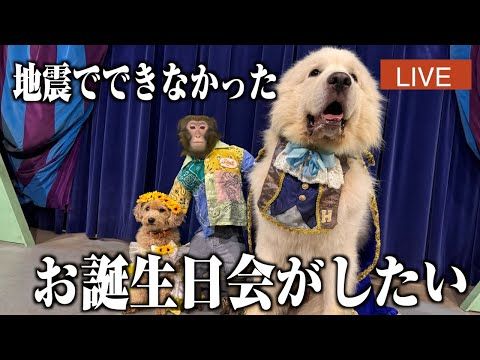 熊本地震でできなかった愛犬のお誕生日会!!【裏話あり】