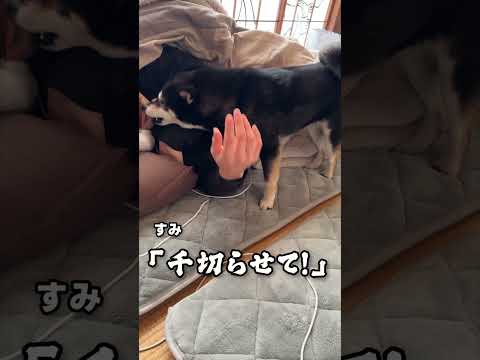 起こしたる サムネイル