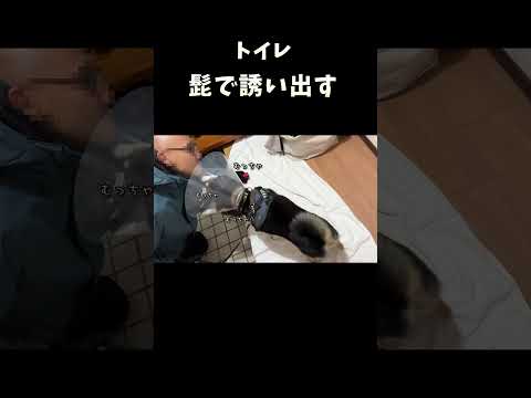 トイレに髭で誘い出す