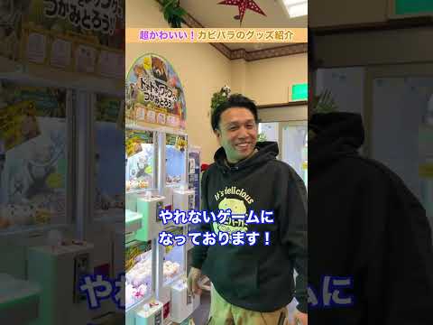 【超かわいい…！💜】カピバラグッズ紹介！！✨ サムネイル