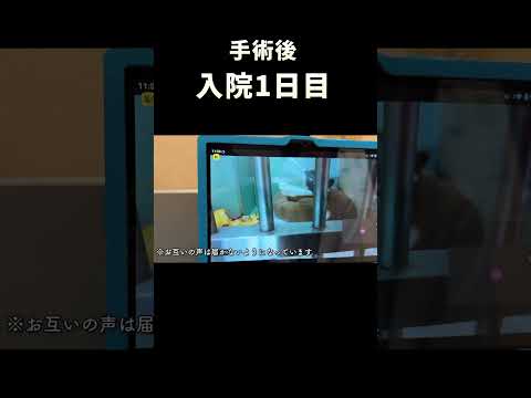入院1日目 サムネイル