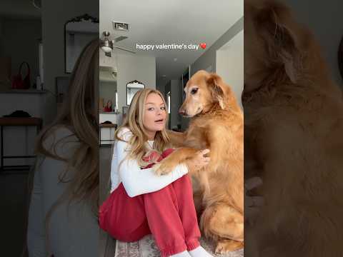 dog-tor coby to rescue🛟goldenpup puppy goldenpupppy dogbree… サムネイル