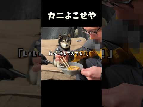 カニよこせや！ サムネイル