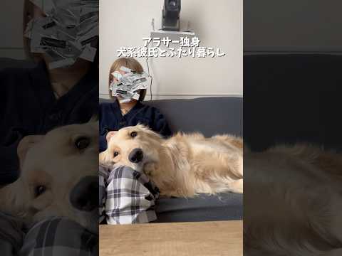 朝のイチャイチャタイム♥️⁡なでなでをサボるとひっくり返って怒ります🤣⁡ゴールデンレトリバー ゴールデンレトリバーのい… サムネイル