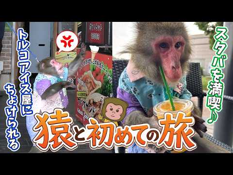 【お猿の終活】念願の初旅！美味しいものをたくさん食べるサービスエリア巡りが最高に楽しかった！