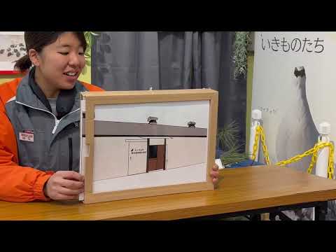 ライチョウトーク　ライチョウをニホンアルプスへ復活大作戦！　那須どうぶつ王国にて　2026年1月12日 サムネイル