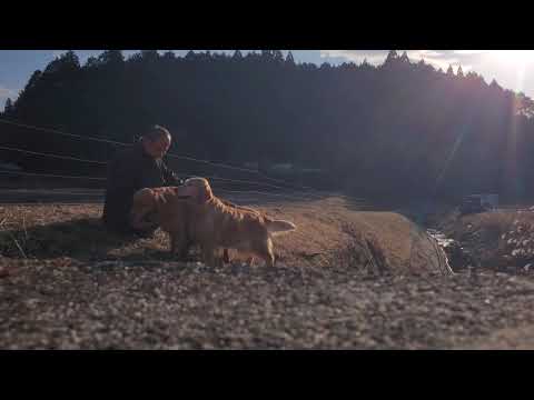 今日2月5日は記念日、元気なビスとイロハを見ながら思う事は健康第一。 サムネイル