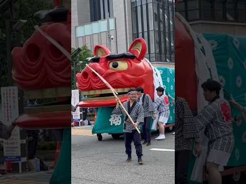 shorts 酒田大獅子桜🌸　獅子パックン　酒田まつり サムネイル