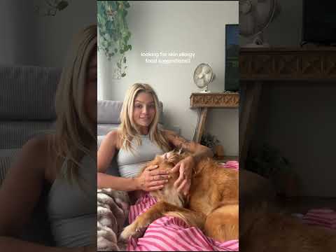 Bikini Try-On Haul 106 :| 4K Transparent Lingerie & See-Thr… サムネイル