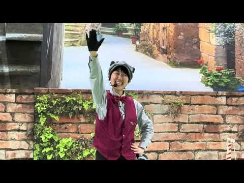 さぁ〜始まりました！なかなか見れない猫によるショー ザ・キャッツ　那須どうぶつ王国にて　2026年2月1日 サムネイル