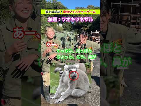 バード班の絆を試す！ジェスチャーゲーム挑戦🔥 サムネイル