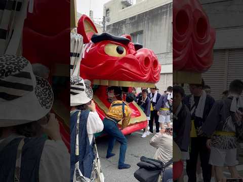 #shorts 酒田大獅子　日和　獅子パックン　酒田まつり サムネイル