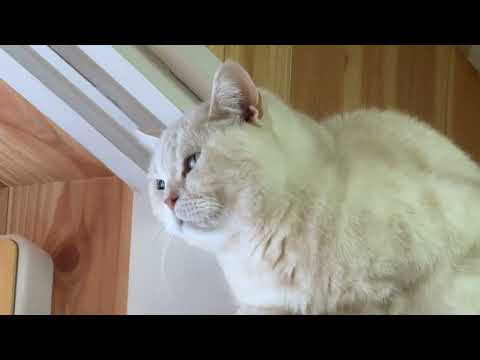 エールくん 来園者チェック🤭　ワンニャンリビング　那須どうぶつ王国にて　2026年1月11日 サムネイル