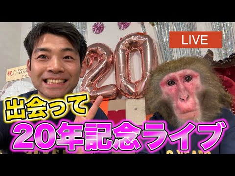 ニホンザルのカイくんとコンビ結成20年！お祝いライブじゃ！！ サムネイル