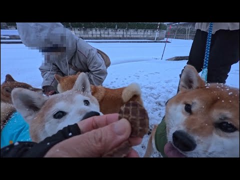 氷点下で失われた栄養補給に🍖☃ サムネイル