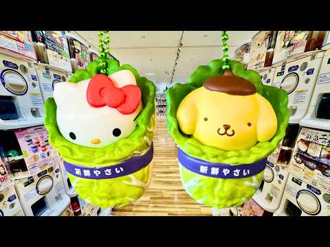 【ガチャ活】新作ガチャガチャ43連！種類多め！ひたすら回す！ サムネイル