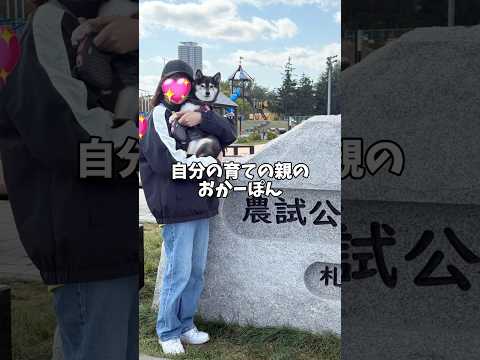 育ての親に黒柴が思うこと・・・ サムネイル