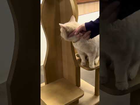 shorts タタンくん　那須どうぶつ王国　IMG 0015 サムネイル