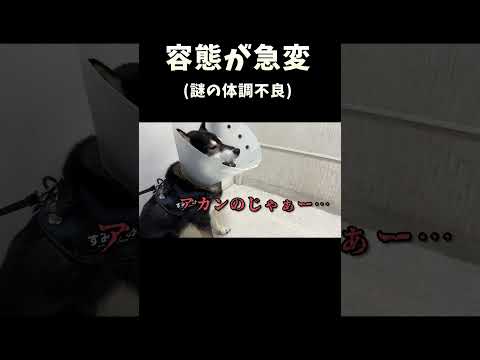 容態が急変 サムネイル