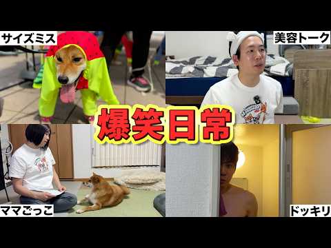 多頭飼いアラフォー男子のスキンケア教えちゃる サムネイル