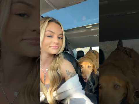 Come to my golden retriever 2026blonde goldenretreiver dogb… サムネイル