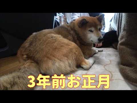 【1087】過去映像：久しぶりにお兄ちゃんが帰って来た時 サムネイル