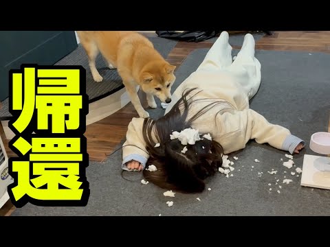 雪まみれで帰宅した娘…柴犬と大騒ぎになりました サムネイル