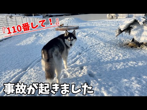 【事故が起きました】雪の中で起きた事 サムネイル