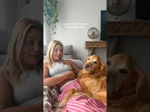 coming home to my golden retriever🥵 goldenretreiver dog ind…