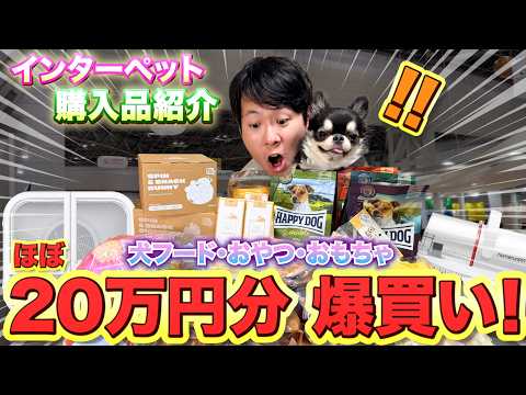 犬のために20万円爆買いしたらガチでやばかった！ サムネイル