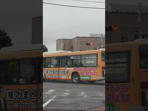 shorts 朝の交差点　千葉市 サムネイル